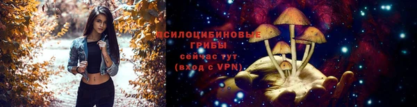 винт Гусь-Хрустальный