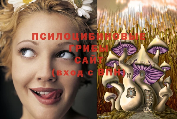 гашиш Горняк