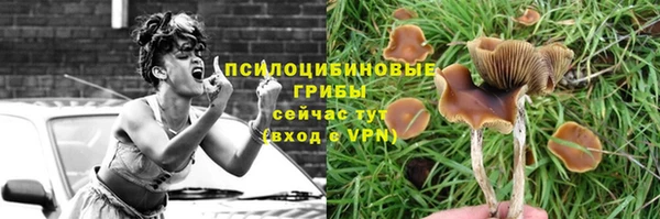 марки nbome Гусиноозёрск