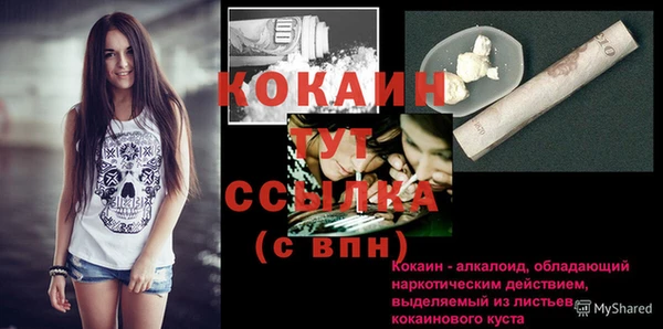 PSILOCYBIN Горнозаводск