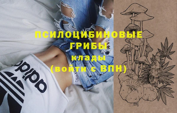 марки nbome Гусиноозёрск