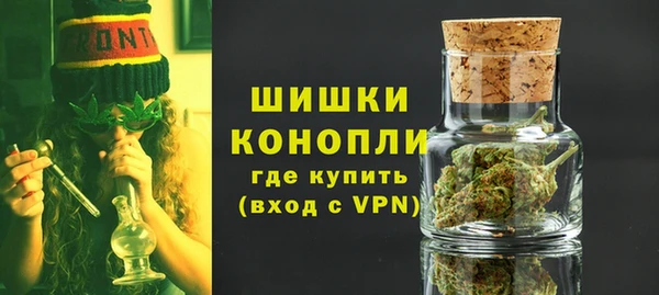 винт Гусь-Хрустальный