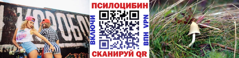 Галлюциногенные грибы Magic Shrooms  Ужур 